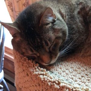 Meet your Posher, Lori